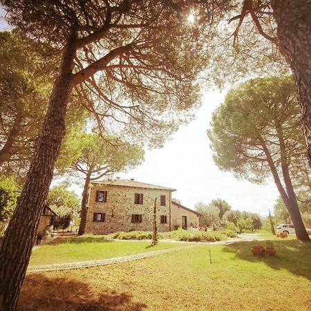 Bed and Breakfast La Bertinora Villa Verucchio Exteriér fotografie