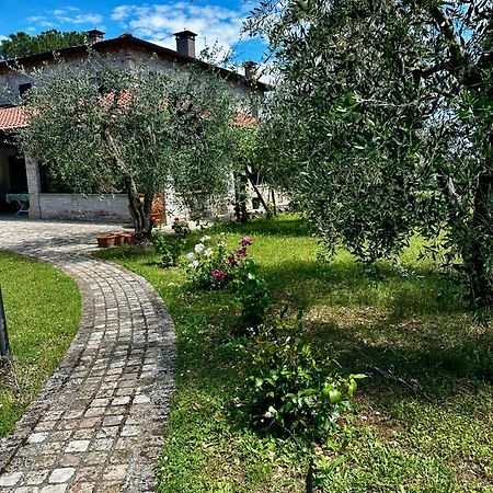 Bed and Breakfast La Bertinora Villa Verucchio Exteriér fotografie