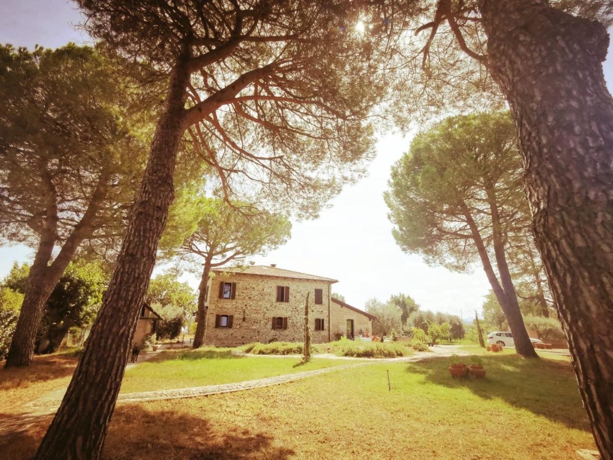 Bed and Breakfast La Bertinora Villa Verucchio Exteriér fotografie